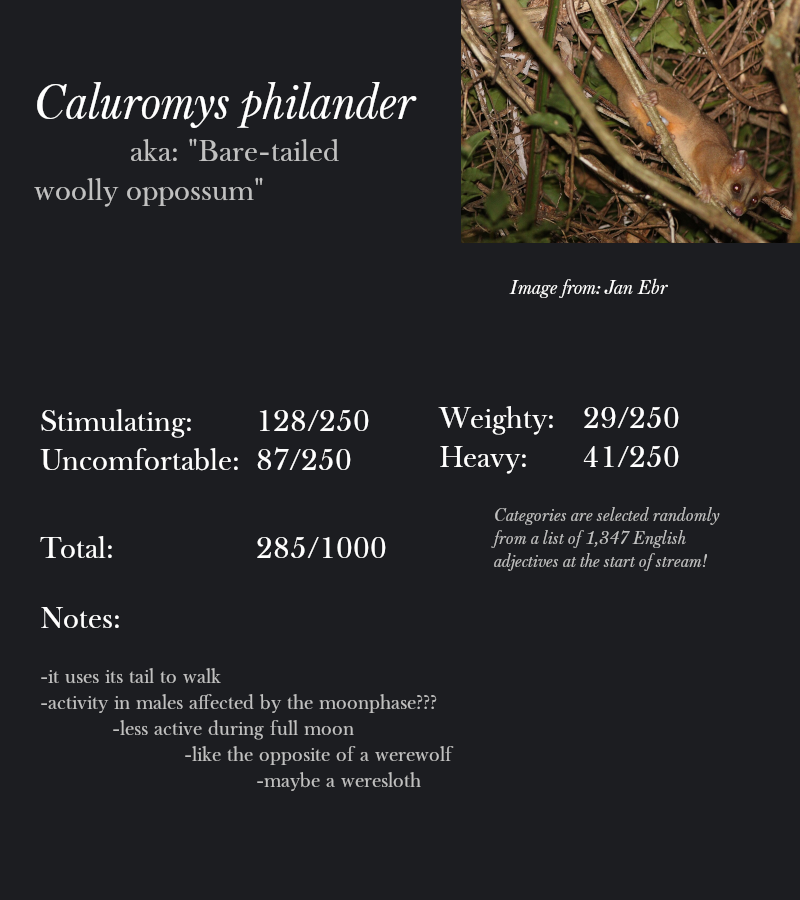 Caluromys philander